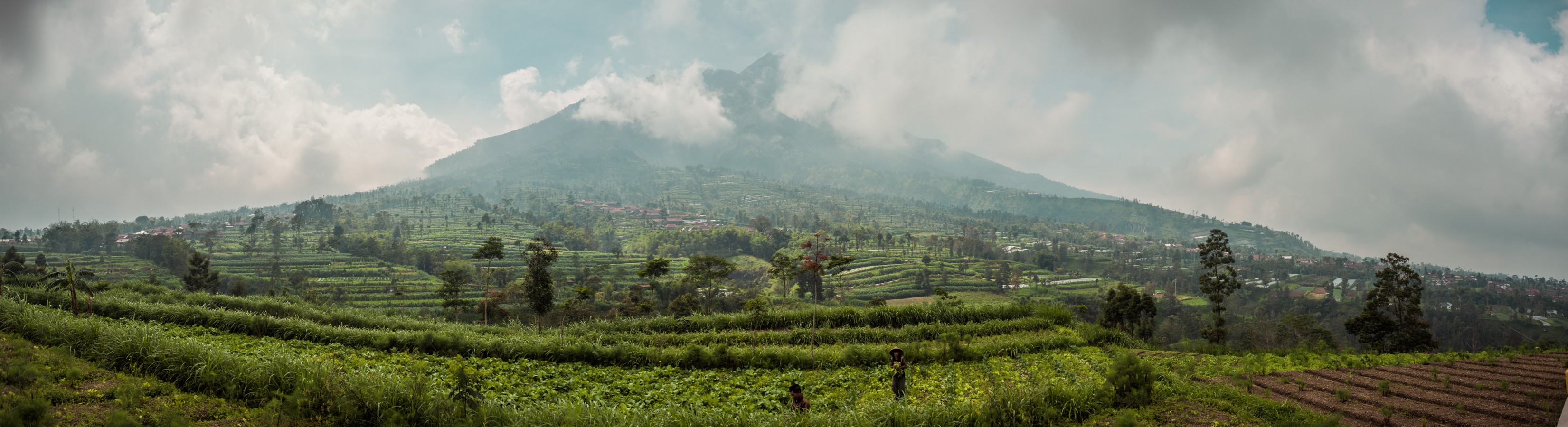 Central Java · Sine Termino - World Travel Photo Blog
